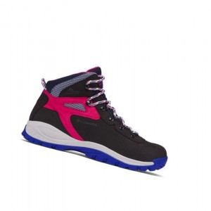 Columbia Newton Ridge Waterproof - Icons Yürüyüş Botu Kadın Siyah Pembe | 64570-WCNQ