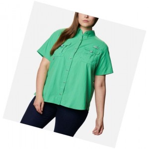 Columbia PFG Bahama Short Sleeve Plus Size Gömlek Kadın Turkuaz | 75146-RYSU