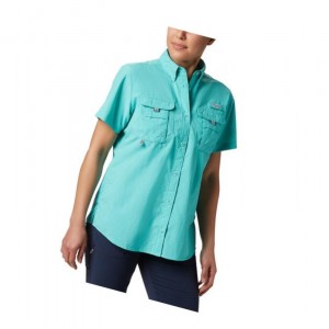 Columbia PFG Bahama Short Sleeve Plus Size Gömlek Kadın Mavi | 64523-IBTF