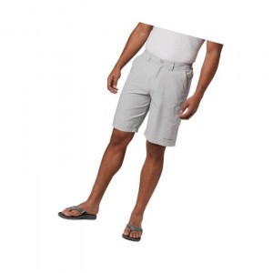 Columbia PFG Blood and Guts III Şort Erkek Gri | 35278-AZYD