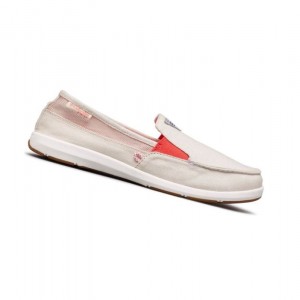 Columbia PFG Delray II Slip Spor Ayakkabı Kadın Kırmızı Mercan | 07453-LEYH