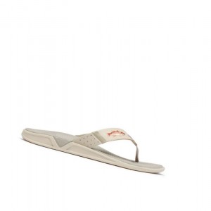 Columbia PFG Fish Flip Sandal Terlik Erkek Kahverengi Haki | 18390-IMPS