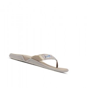 Columbia PFG Fish Flip Sandal Terlik Erkek Haki | 12783-JLRB