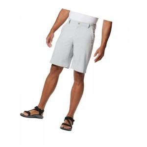 Columbia PFG Grander Marlin II Offshore Şort Erkek Gri | 89145-QZEO