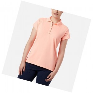 Columbia PFG Innisfree Short Sleeve Polo Gömlek Kadın Pembe | 91586-TCES