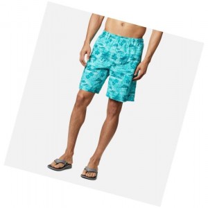 Columbia PFG Super Backcast Water Şort Erkek Açık Turkuaz | 86195-KAXH