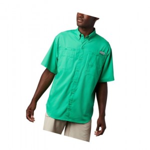 Columbia PFG Tamiami II Short Sleeve Gömlek Erkek Açık Yeşil | 03521-TURD