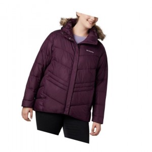Columbia Peak to Park Insulated Plus Size Mont Kadın Siyah Pembe | 17534-ESUR