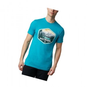 Columbia Pegasus Cotton Tişört Erkek Turkuaz | 24703-VJAD