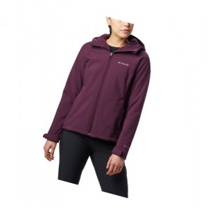 Columbia Phurtec II Softshell Mont Kadın Siyah Pembe | 78963-MZLK