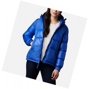 Columbia Pike Lake II Insulated Mont Kadın Mavi | 80374-IBUP