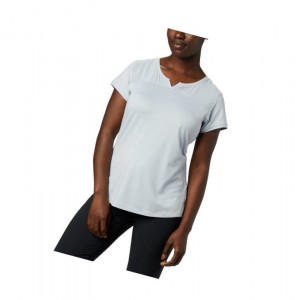 Columbia Place To Place II Short Sleeve Tişört Kadın Gri | 94185-JSCT