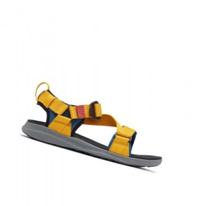 Columbia Sandal Sandalet Erkek Mavi Altın Sarı | 94876-PKOH