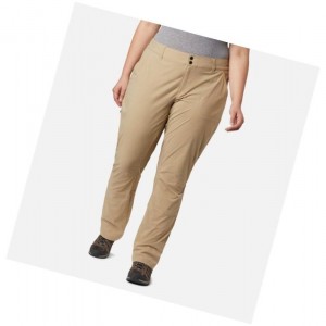 Columbia Saturday Trail Stretch Plus Size Pantolon Kadın Kahverengi | 57490-CZEK