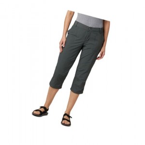 Columbia Silver Ridge 2.0 Capri Pantolon Kadın Koyu Gri | 29107-QCLG