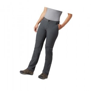 Columbia Silver Ridge 2.0 Convertible Pantolon Kadın Koyu Gri | 34196-GPDV
