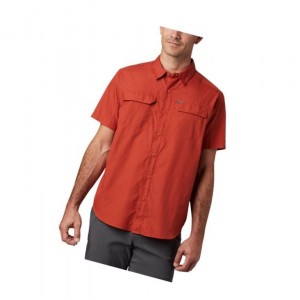 Columbia Silver Ridge 2.0 Short Sleeve Tall Gömlek Erkek Kırmızı | 56784-LBMQ