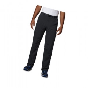 Columbia Silver Ridge Cargo Big Pantolon Erkek Siyah | 70268-QGAH