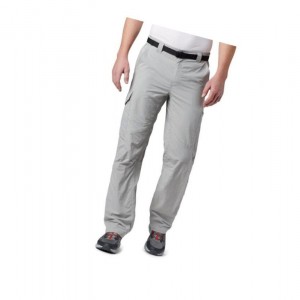 Columbia Silver Ridge Cargo Pantolon Erkek Gri | 65173-HKWA
