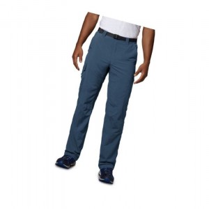 Columbia Silver Ridge Cargo Pantolon Erkek Koyu Mavi | 39174-GYAX