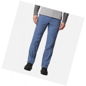 Columbia Silver Ridge Cargo Pantolon Erkek Gri Mavi | 35071-BXAT