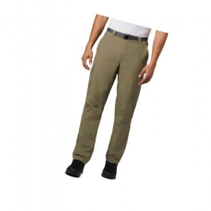 Columbia Silver Ridge Cargo Pantolon Erkek Zeytin Yeşili | 91702-TRGF