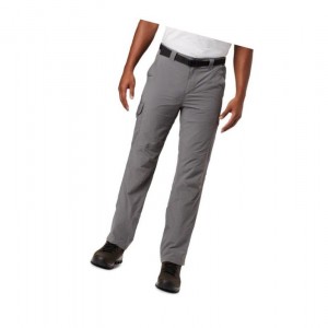 Columbia Silver Ridge Cargo Pantolon Erkek Gri | 90362-EZGK
