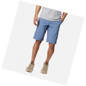 Columbia Silver Ridge Cargo Şort Erkek Gri Mavi | 70859-VONZ