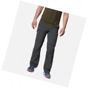 Columbia Silver Ridge Convertible Big Pantolon Erkek Koyu Gri | 80652-MVLI