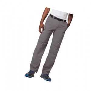 Columbia Silver Ridge Convertible Pantolon Erkek Gri | 34892-DWEB