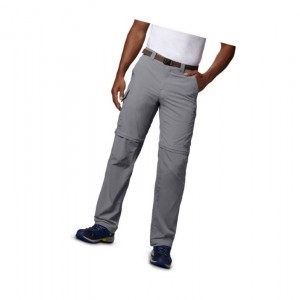 Columbia Silver Ridge Convertible Pantolon Erkek Gri | 97628-ZLFQ