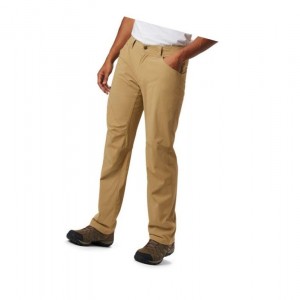 Columbia Silver Ridge II Stretch Big Pantolon Erkek Kahverengi | 54869-OBCI
