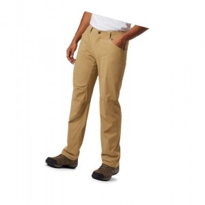 Columbia Silver Ridge II Stretch Pantolon Erkek Kahverengi | 50486-DCEP