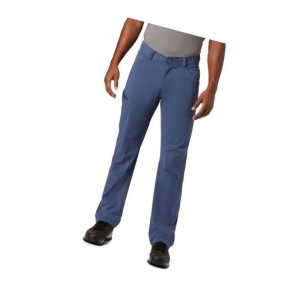 Columbia Silver Ridge II Stretch Pantolon Erkek Koyu Mavi | 17309-ODVL