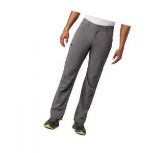 Columbia Silver Ridge II Stretch Pantolon Erkek Gri | 12647-PATY