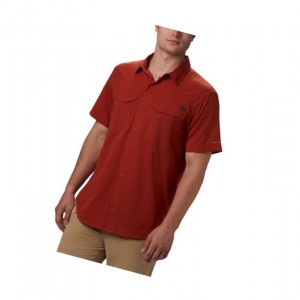 Columbia Silver Ridge Lite Short Sleeve Gömlek Erkek Kırmızı | 41839-HZRV