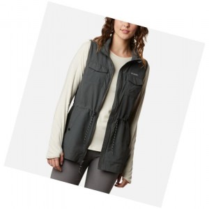 Columbia Silver Ridge Yelek Kadın Renkli | 10483-NEYW