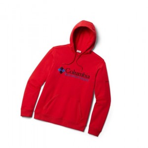 Columbia South Lake Logo Kapşonlu Erkek Açık Kırmızı | 46807-QTXD