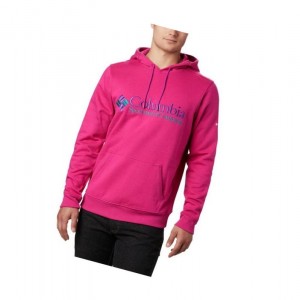 Columbia South Lake Logo Kapşonlu Erkek Pembe | 08315-TPBW