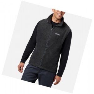 Columbia Steens Mountain Fleece Tall Yelek Erkek Gri | 85127-VKZY