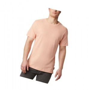 Columbia Summer Chill Short Sleeve Tişört Erkek Açık Mercan | 80712-SFCN