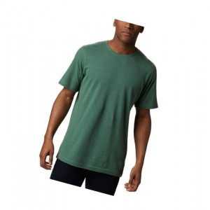 Columbia Summer Chill Short Sleeve Tişört Erkek Yeşil | 10968-FQEN