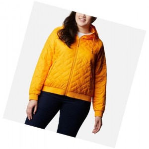 Columbia Sweet View Insulated Bomber Plus Size Mont Kadın Açık Altın | 91235-EDZY