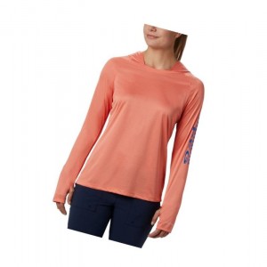 Columbia Tidal Heather Plus Size Kapşonlu Kadın Mavi | 34568-AVTP