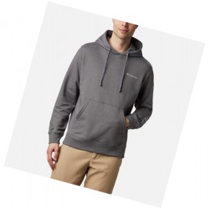 Columbia Viewmont II Sleeve Graphic Kapşonlu Erkek Gri | 74238-BXFV