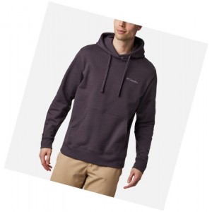 Columbia Viewmont II Sleeve Graphic Tall Kapşonlu Erkek Koyu Mor | 49613-SIJN