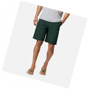 Columbia Washed Out Şort Erkek Yeşil | 60783-DWNC