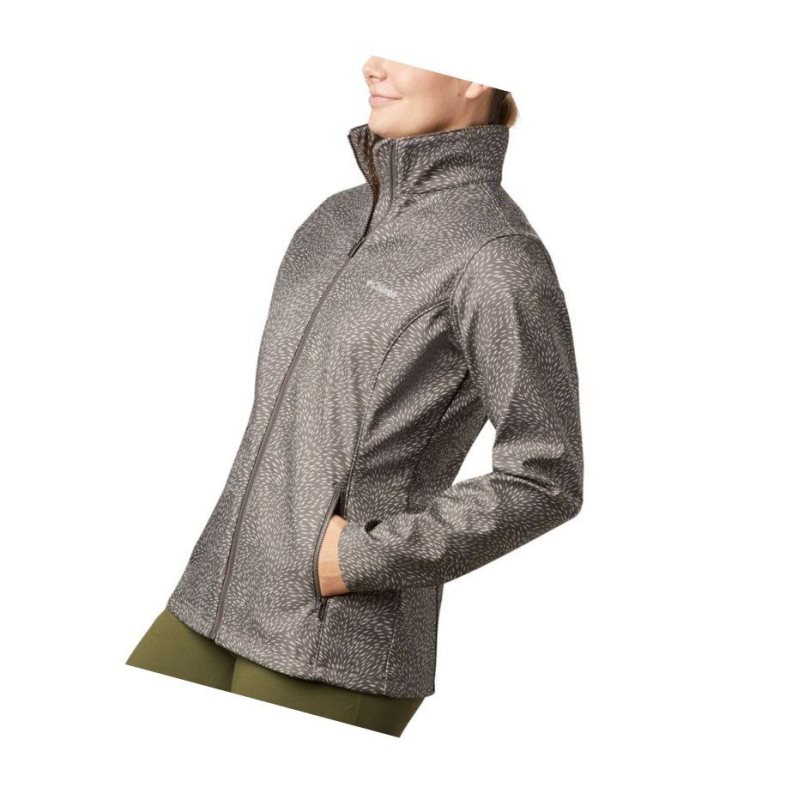Columbia Airtrain Junction?Softshell Mont Kadın Gri | 53871-TGUX