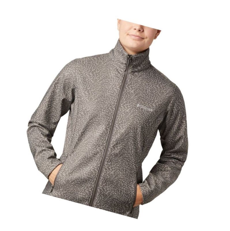 Columbia Airtrain Junction?Softshell Mont Kadın Gri | 53871-TGUX
