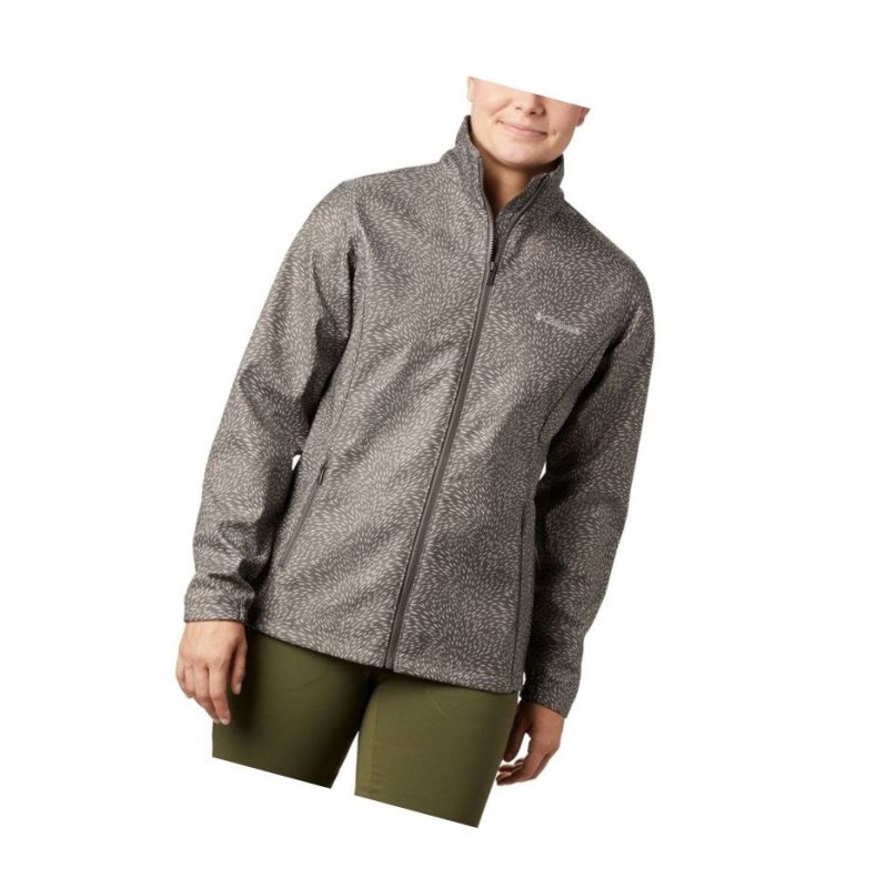 Columbia Airtrain Junction?Softshell Mont Kadın Gri | 53871-TGUX